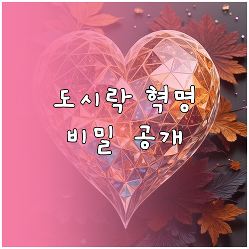 점심 도시락 혁명: 건강, 경제, 시..