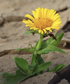 AI 시대 생존전략