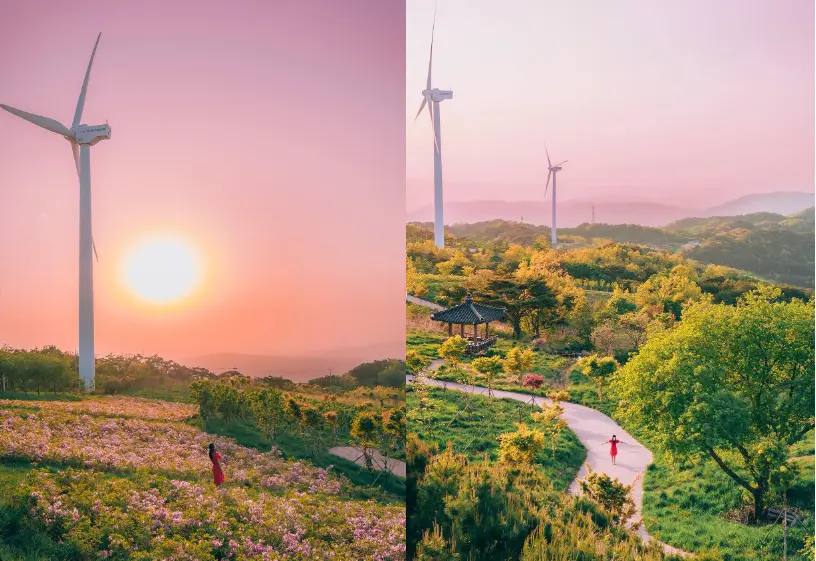 경주바람의언덕