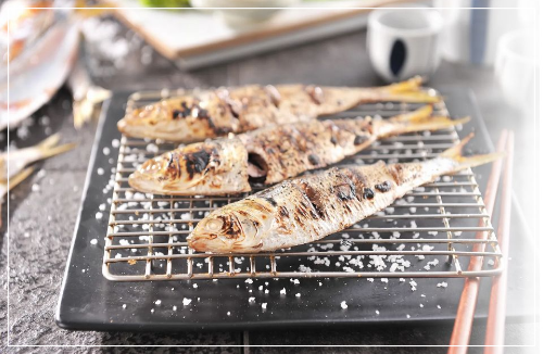 전어 효능 전어 제철 전어회