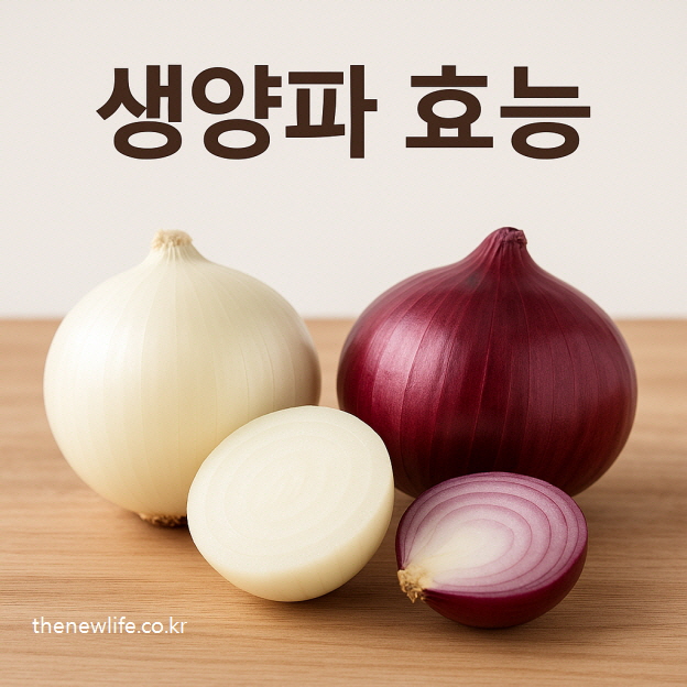 생양파 효능을 보여주는 흰 양파와 자색 양파, 통으로 둔 생양파와 반으로 자른 생양파 모습