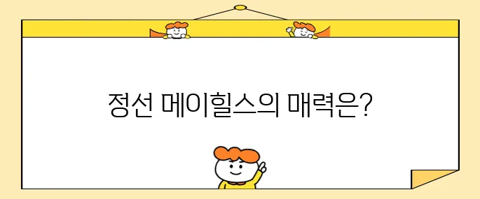 정선 여행에서 메이힐스 가성비 애견 동반 호텔 숙소를 추천합니다!