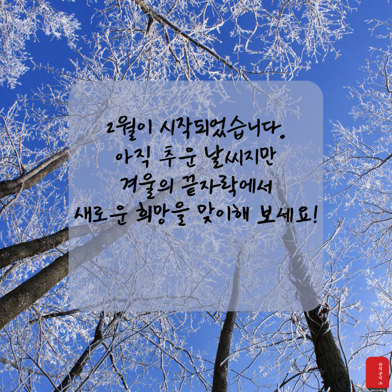 2월 인사말 문구 이미지 모음집