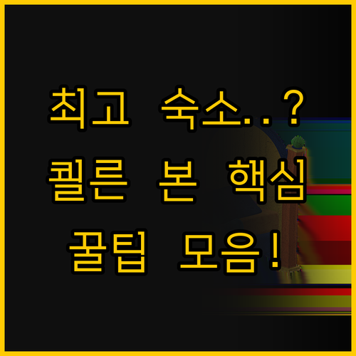 쾰른 본 사이 로스라트 숙소 선택의 ..