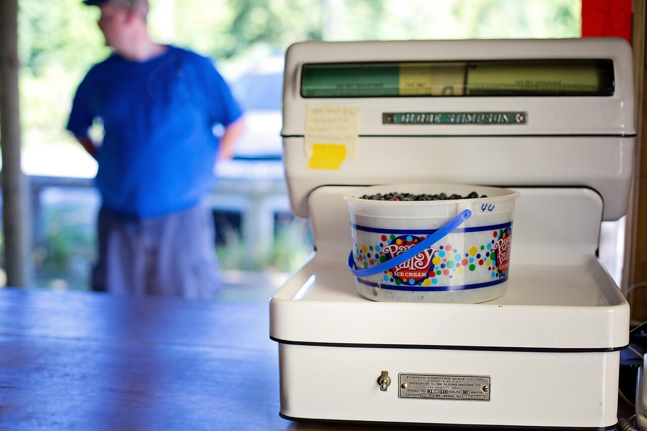 블루베리 비타민c4