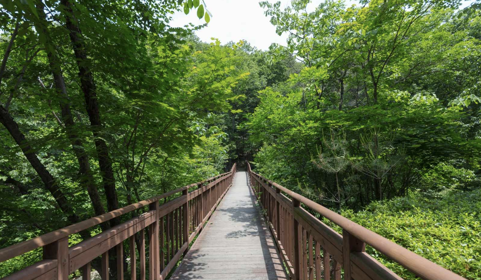 국립자연휴양림