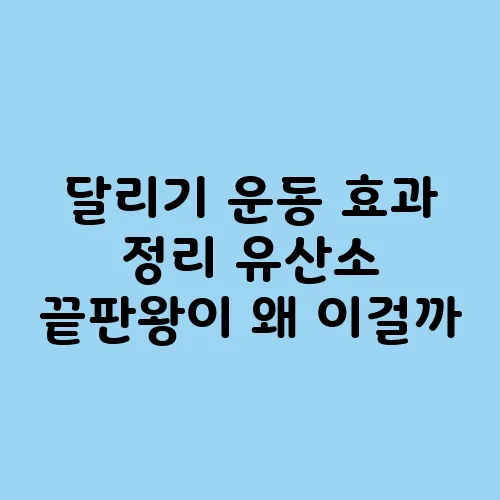 달리기 운동 효과 정리 유산소 끝판왕이 왜 이걸까