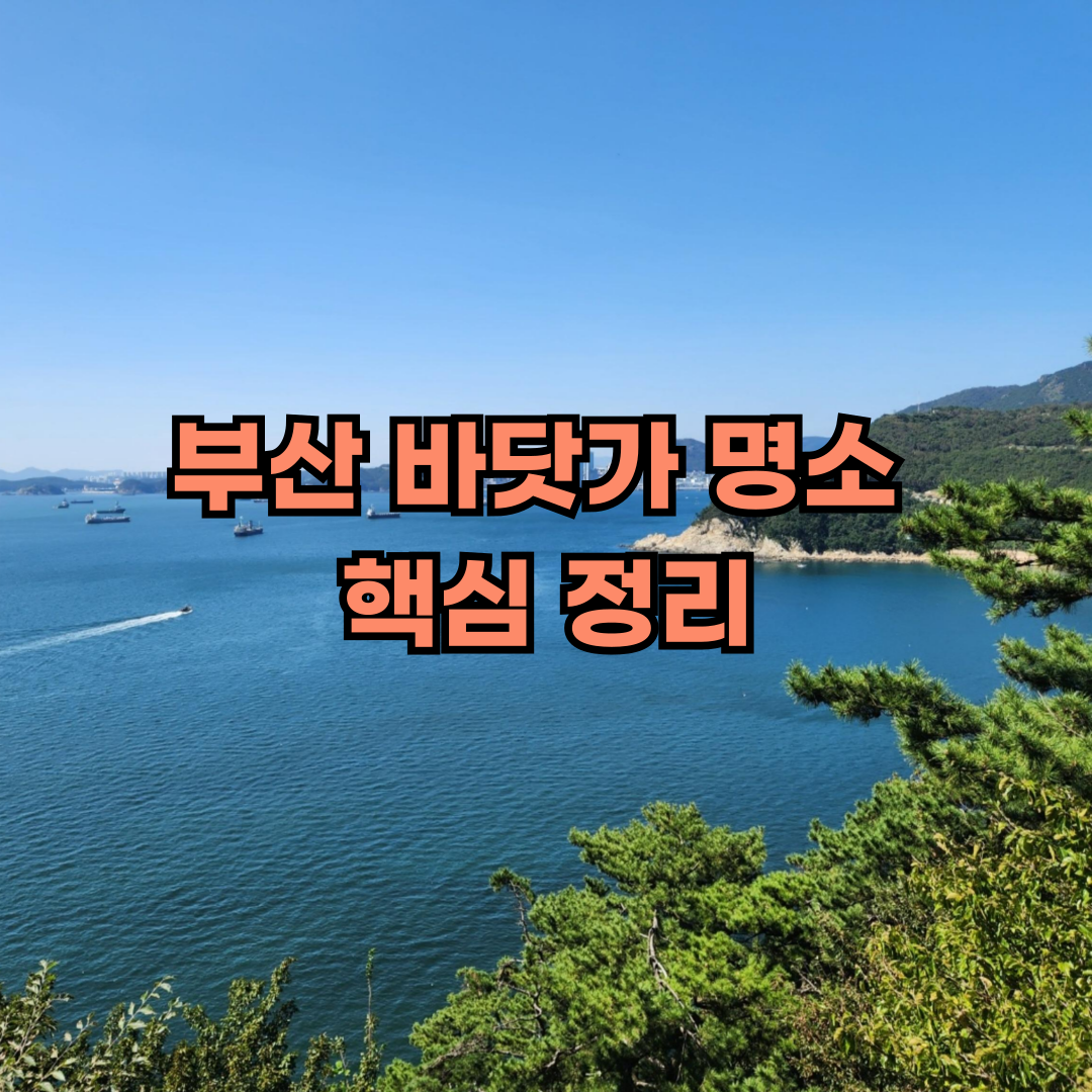 부산 바닷가 명소