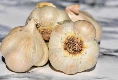 김장김치-마늘고르기