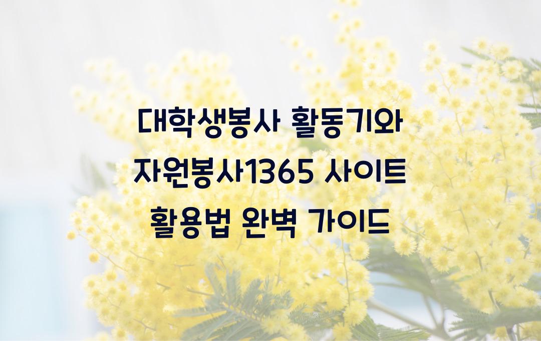 대학생봉사 활동기, 자원봉사1365 사이트 활용법