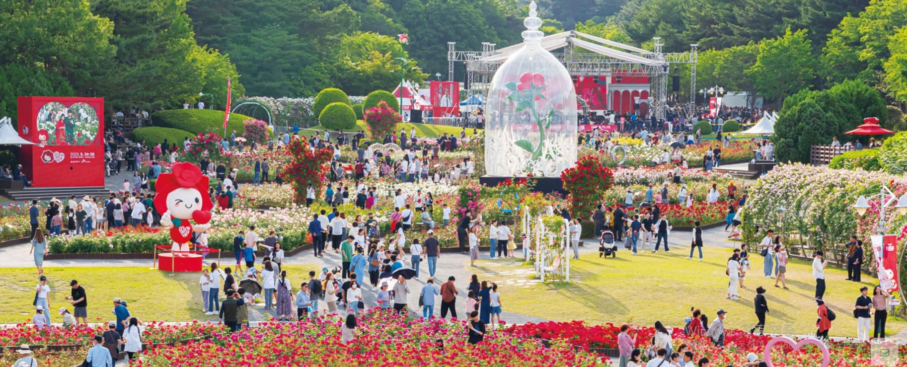 울산대공원 장미축제 2025년 일정 및 입장료 총정리