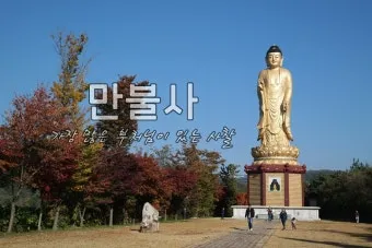 영천 가볼만한곳 맛집 카페 추천 여름 사진 명소_3