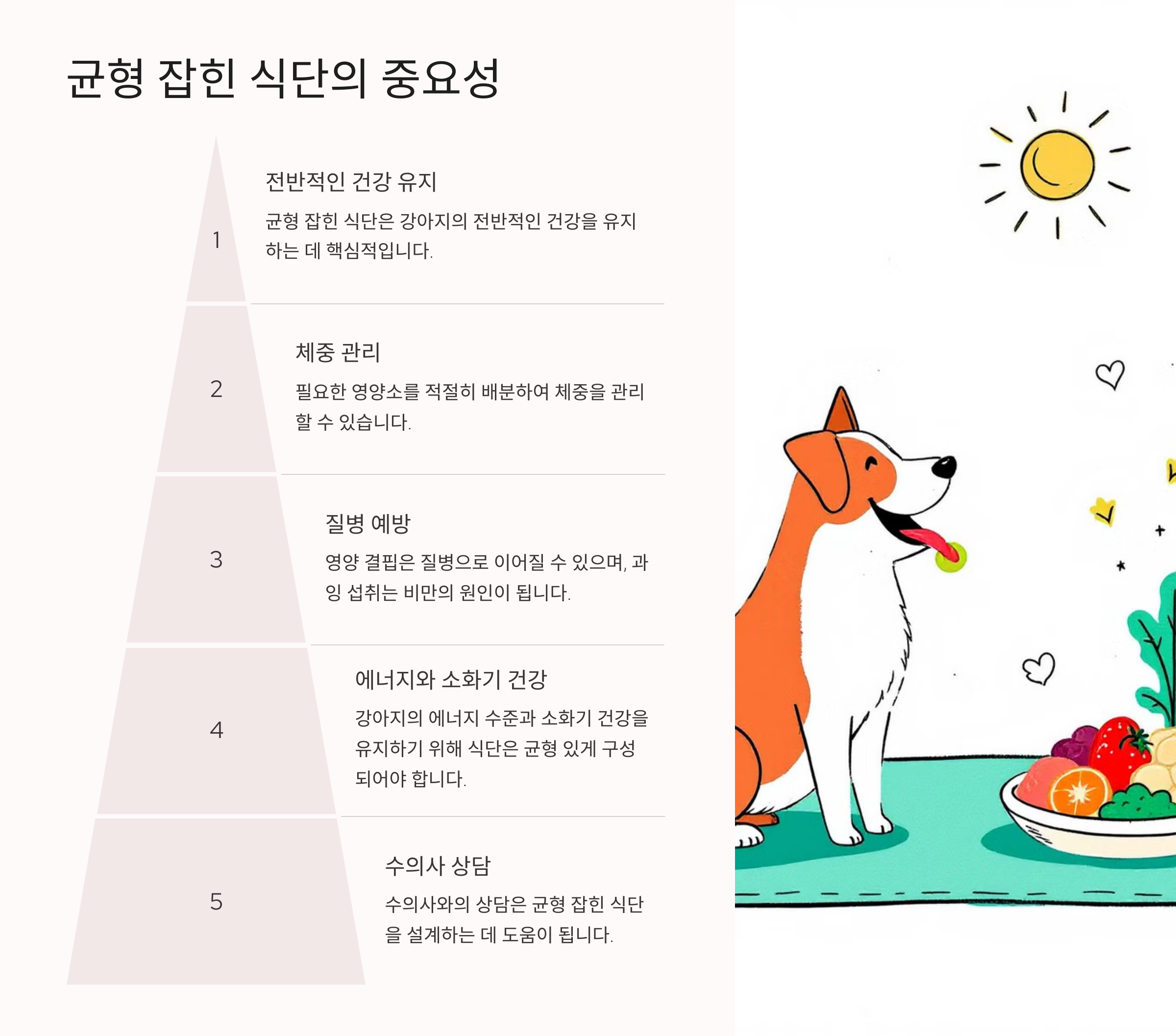 균형 잡힌 식단의 중요성