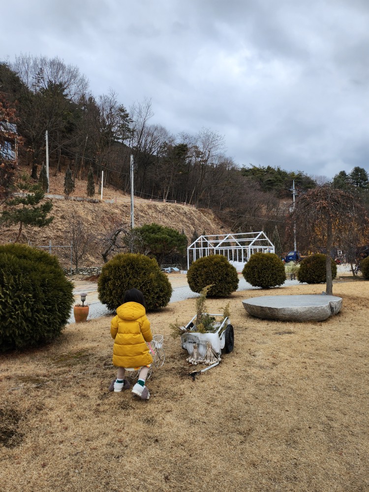 정원