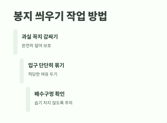 복숭아 봉지 씌우는 시기 및 꿀팁 8