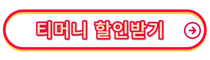 모바일-티머니-사용법