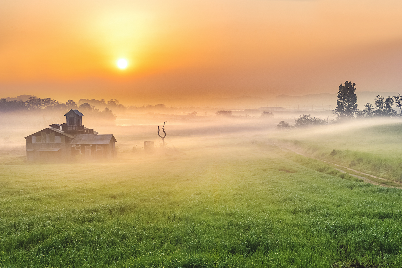 안성목장 빠담빠담 촬영지
주소: 경기도 안성시 공도읍 웅교리 산26-1