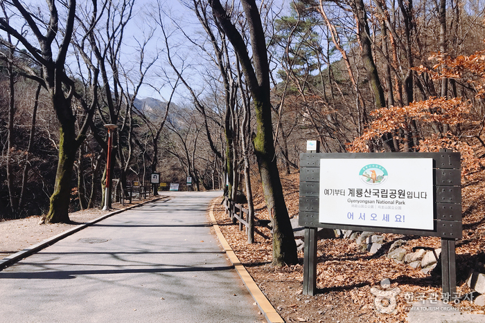 계룡 가볼만한곳 베스트10