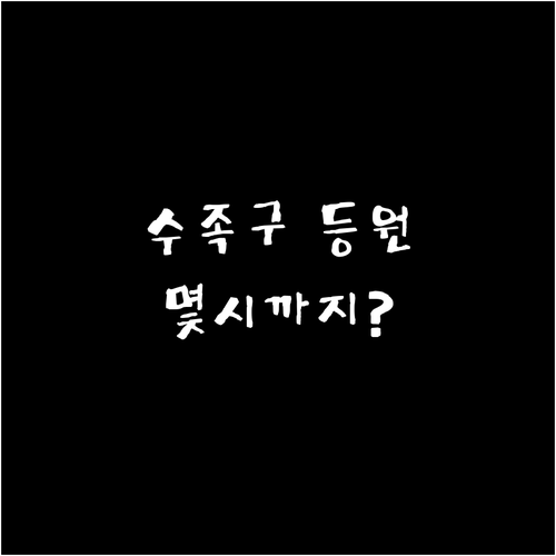 수족구 등원 기준과 대구 남구 소아과..