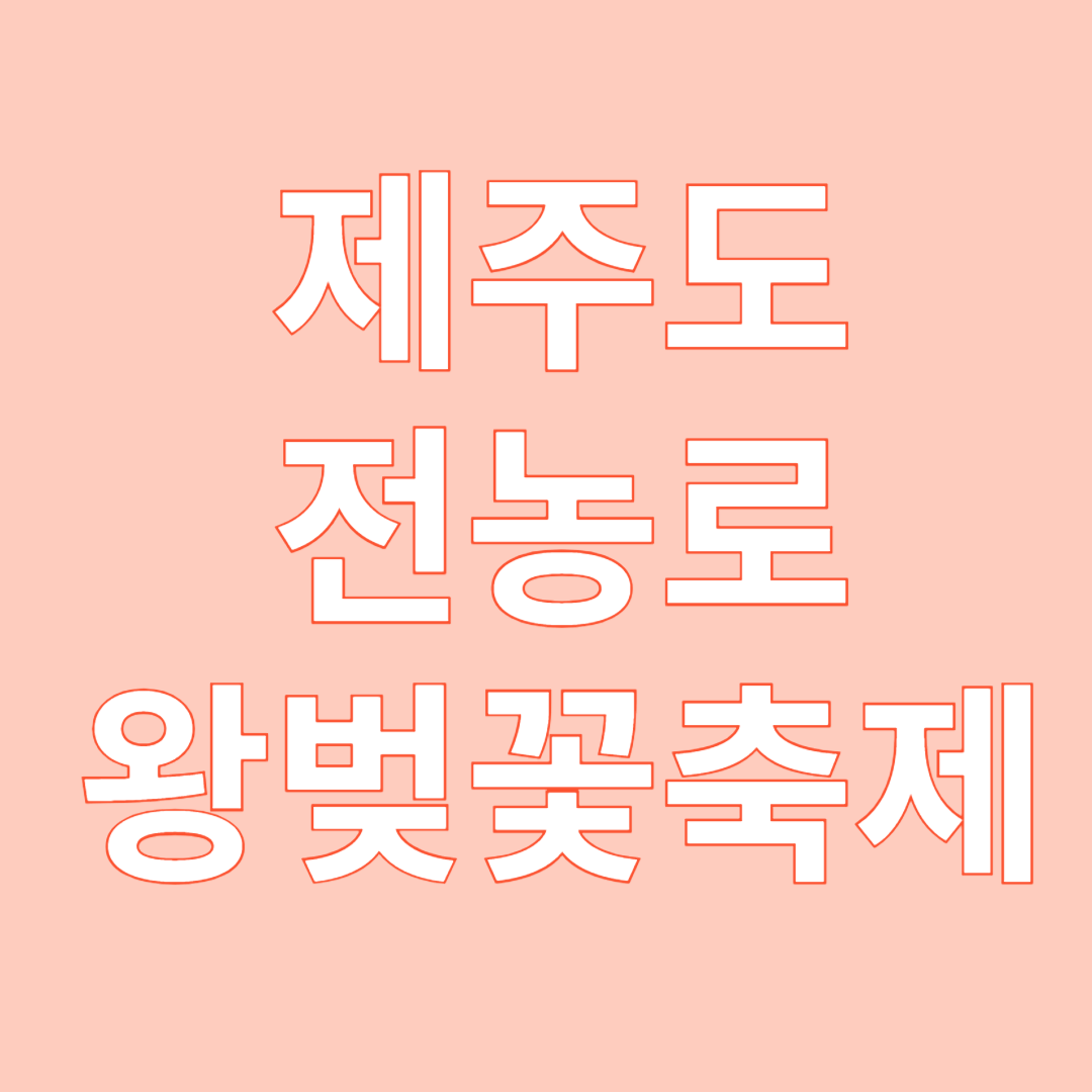 제주도 전농로 왕벚꽃 축제