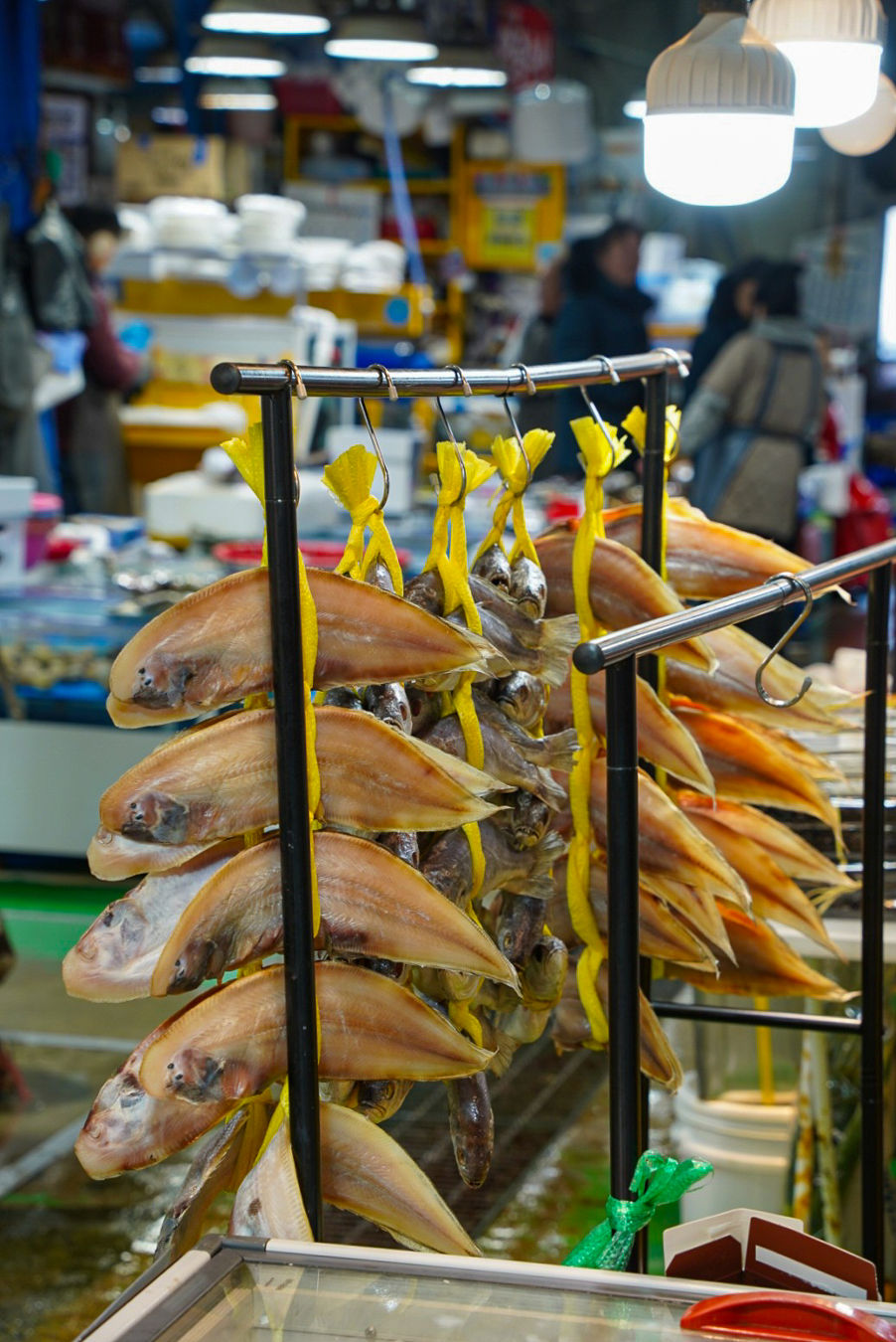 궁평항 수산물 직판장 