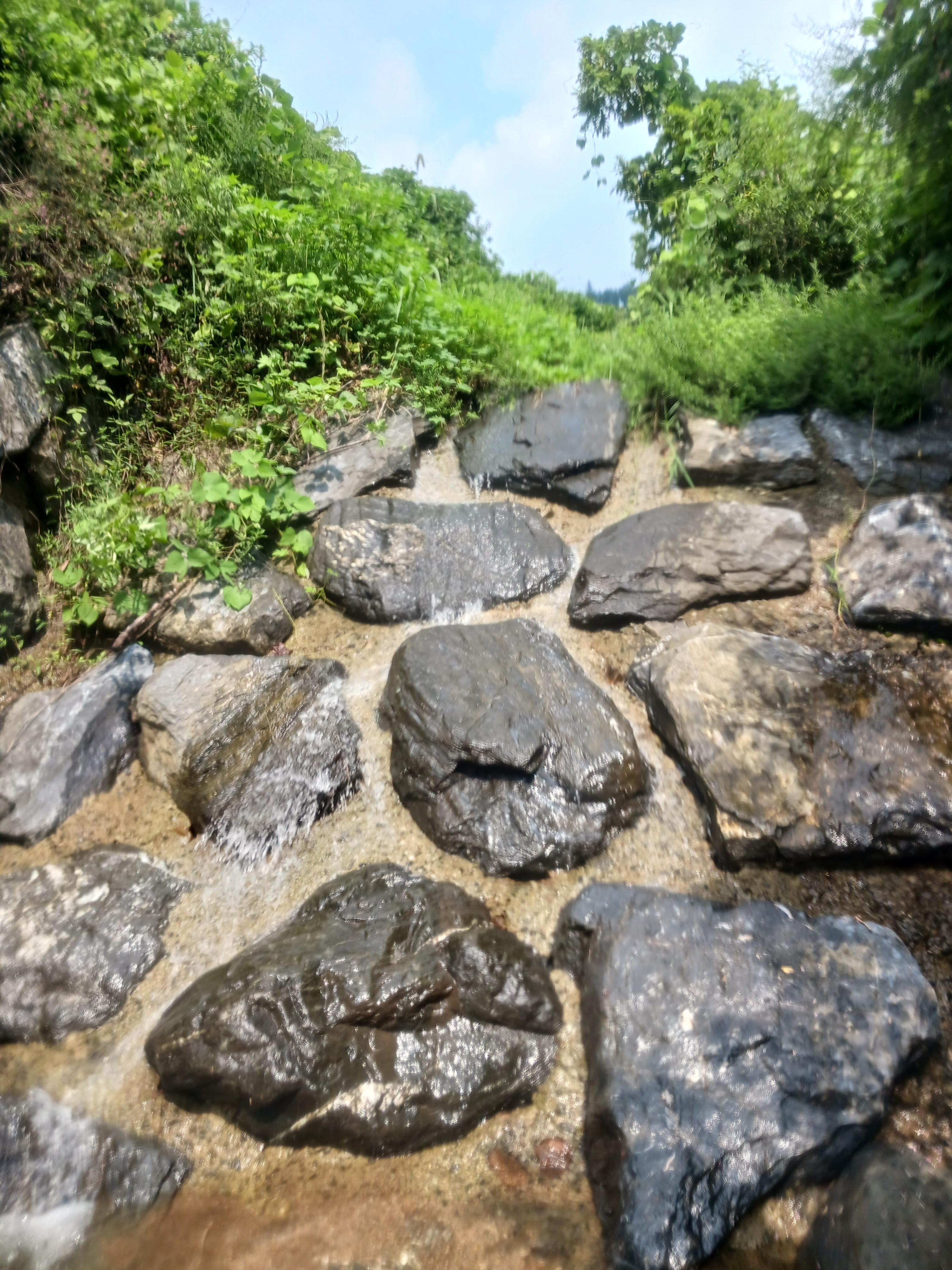 사방댐