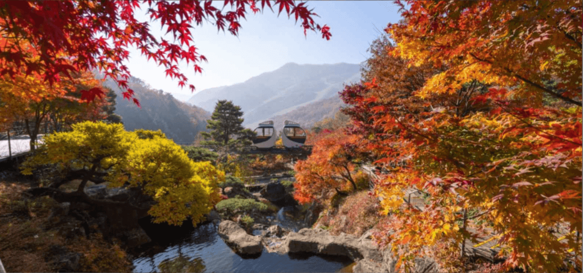 화담숲 - 취소표 잡는 노하우