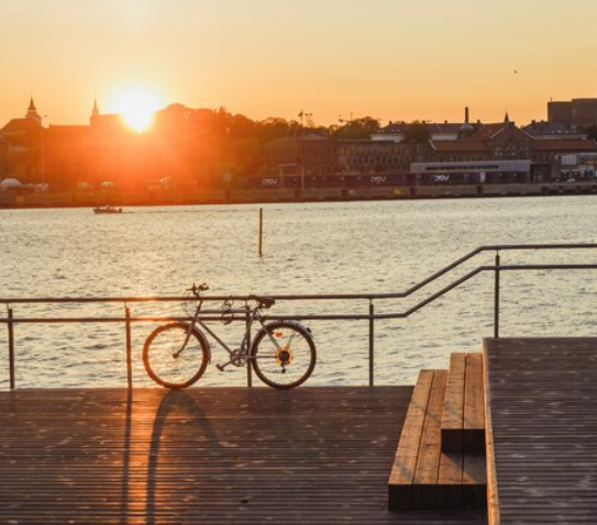 우도 여행 하는 방법