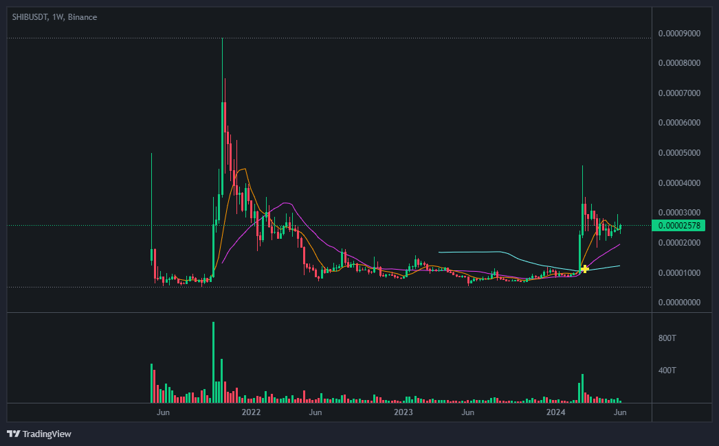 시바이누(SHIBA INU) 코인 가격, 차트 분석, 시세 전망