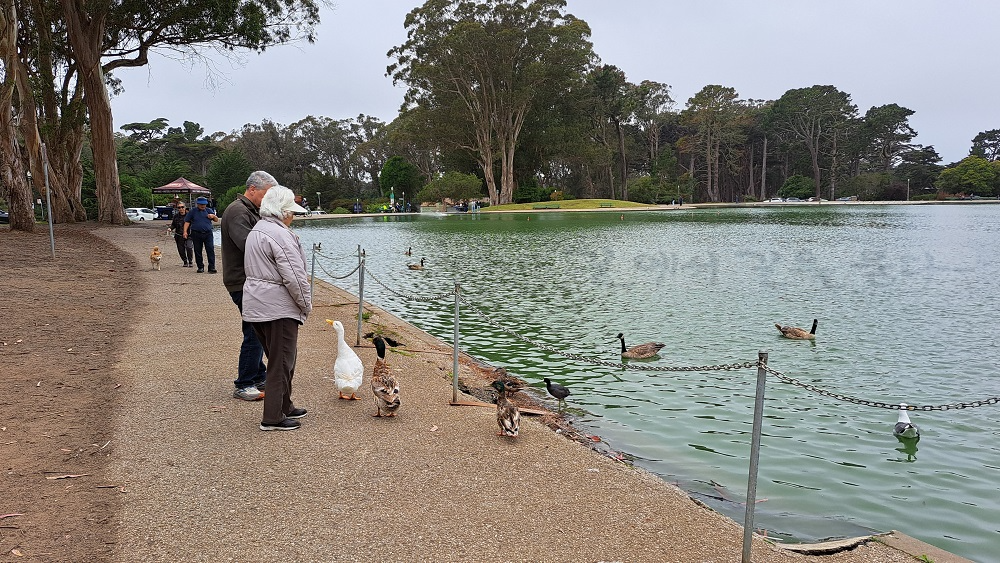 금문공원(Golden Gate Park)