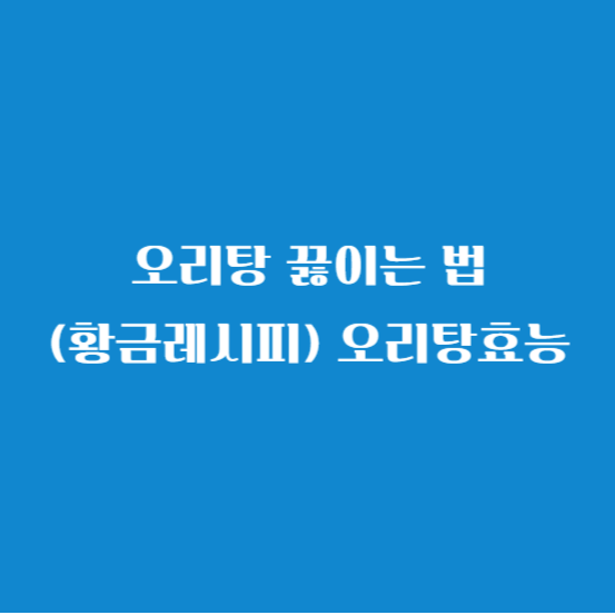 오리탕 끓이는 법(황금레시피) 오리탕효능