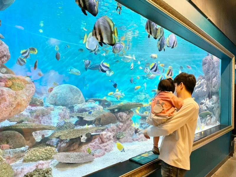 아이와 함께 가기 좋은 크리스마스 서울 명소 BEST, 연말 가족 나들이 추천