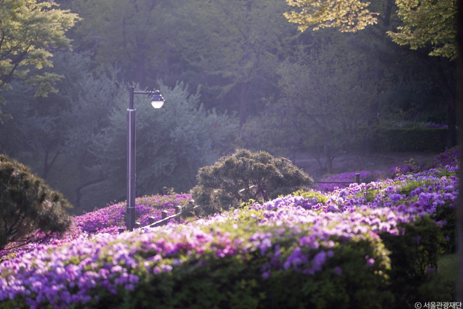 도심 속 힐링여행지, 보라매공원