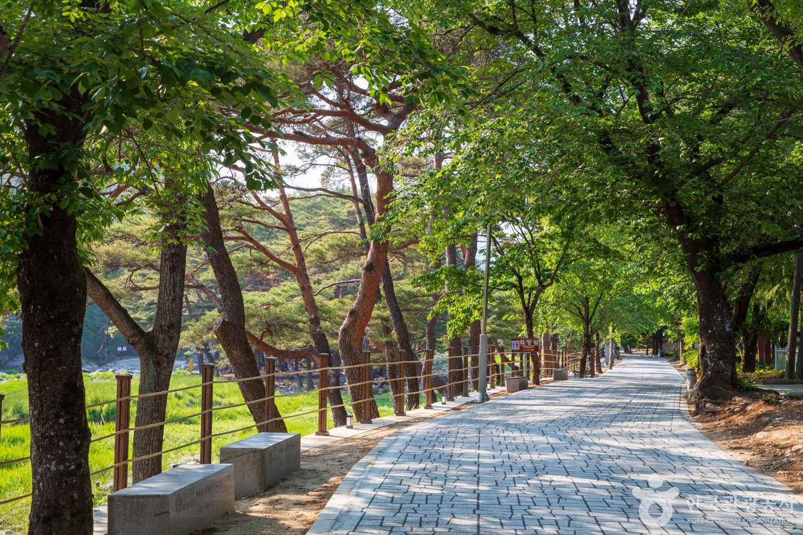 거창 수승대