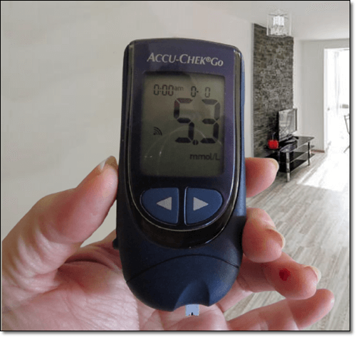 붉은강낭콩 혈당