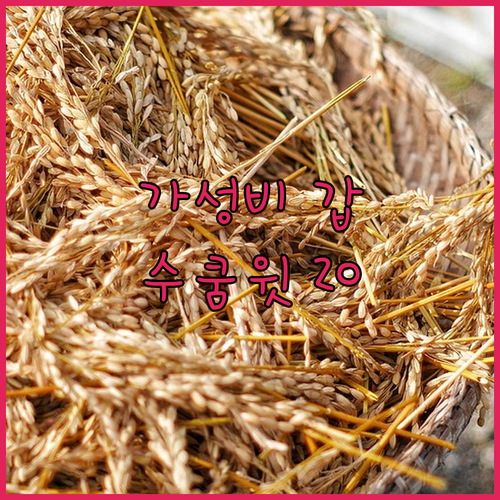 가성비 갑! 노보텔 방콕 수쿰윗 20..