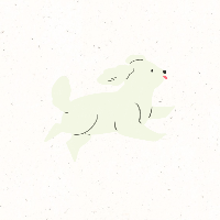 1982년 임술생 운세