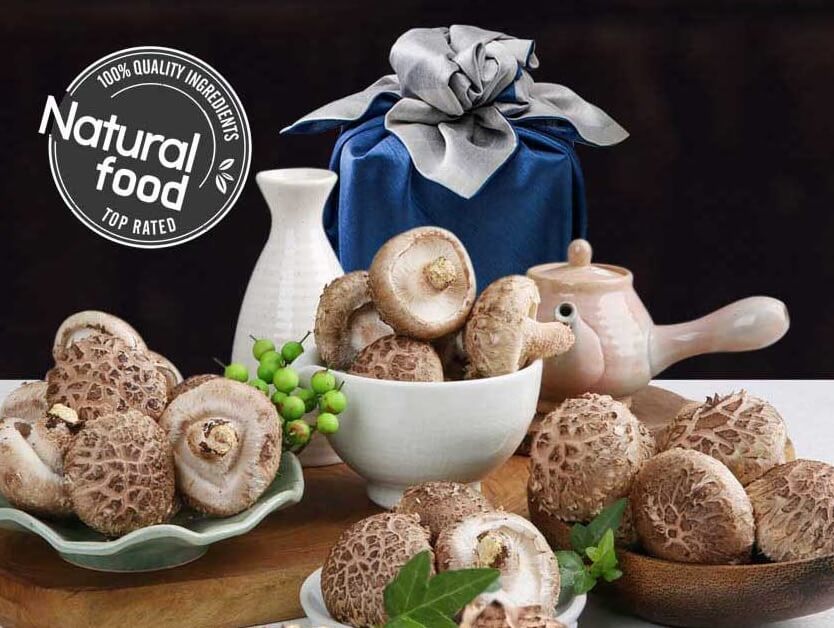 생방송투데이 3806회 넘사벽의 비밀 1억 매출&amp;#44; 버섯 농사짓는 근육맨 편 머쉬앤머슬 버섯 주문방법