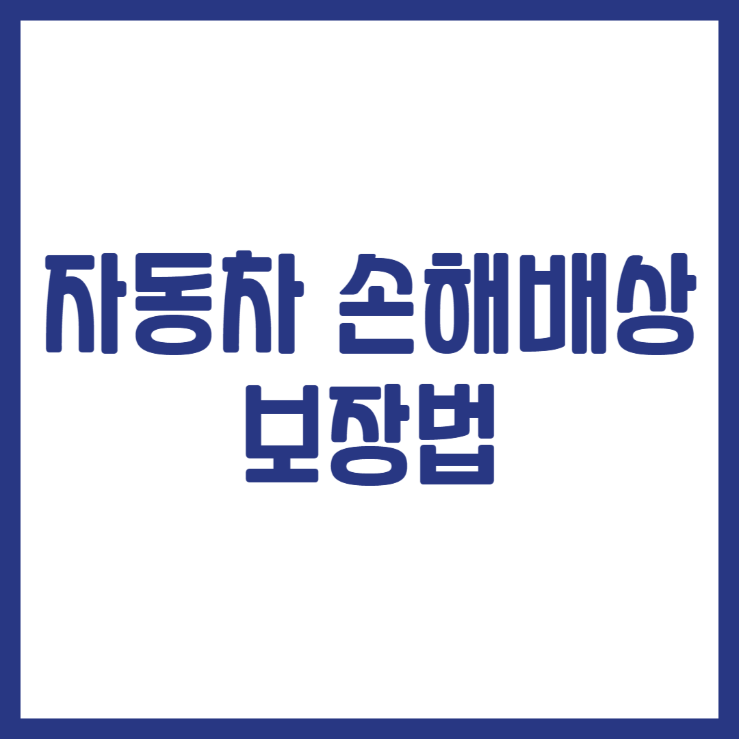 자동차 손해배상 보장법