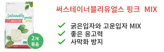 카사바 모래추천