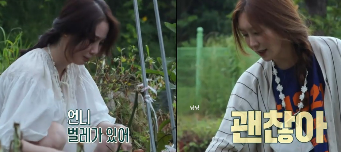 호적메이트 김정은