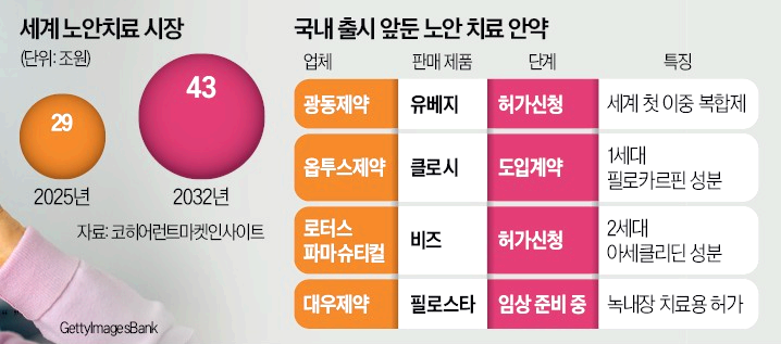 노안 치료