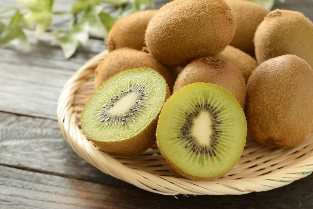 강아지 키위, 골드키위 먹어도 되나요?