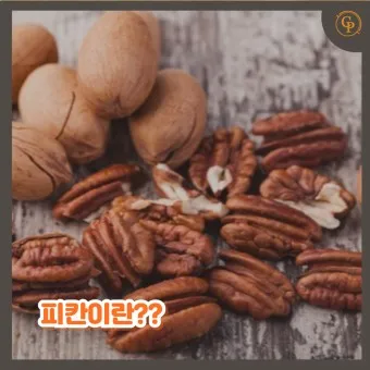 피칸 효능 부작용_10