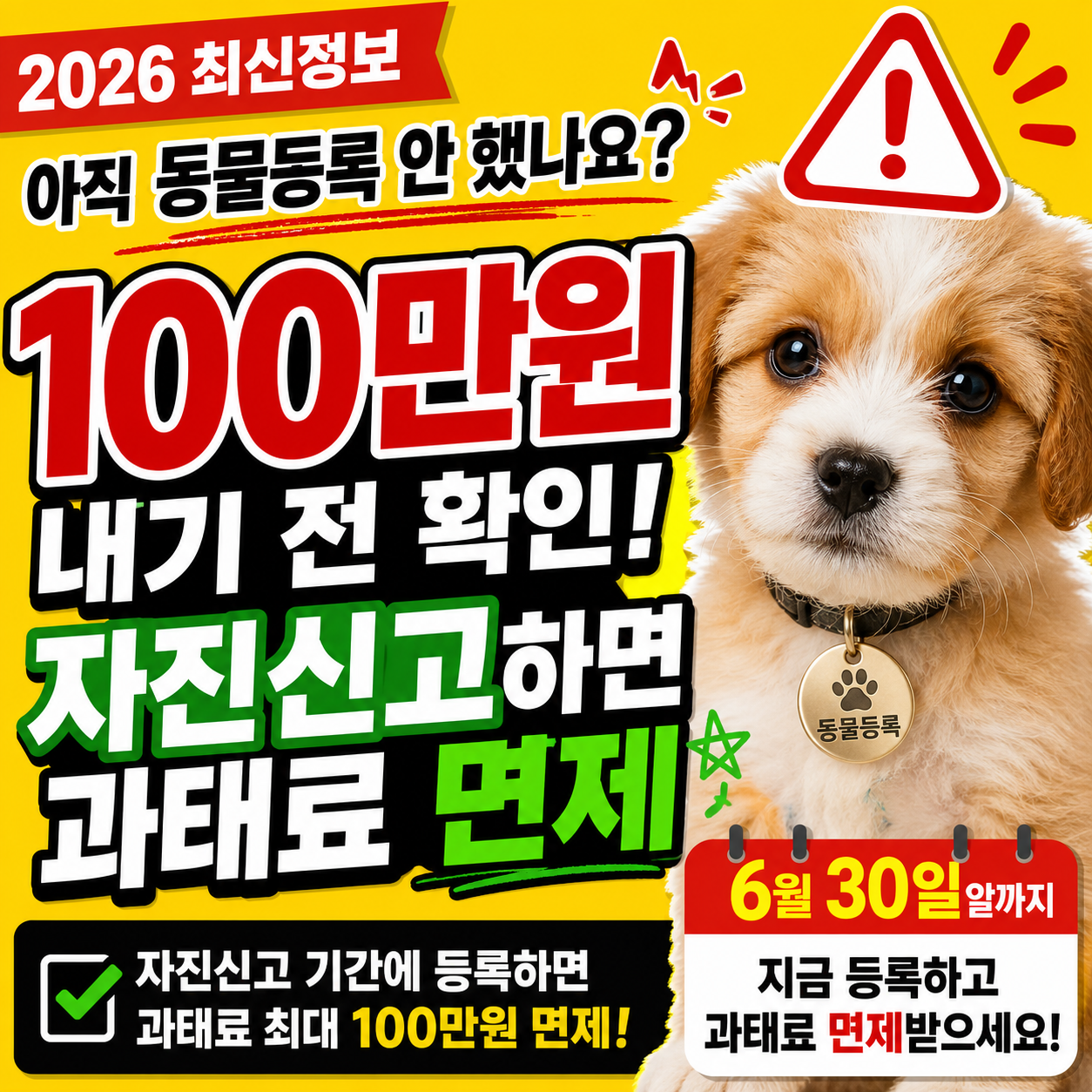 2026 동물등록 자진신고 100만원 면제받는 법