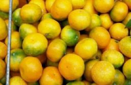 대상포진치료비용