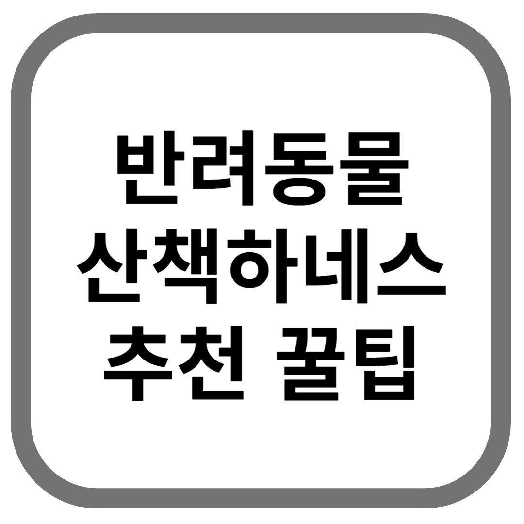 반려동물 산책하네스 추천 꿀팁이라고 적힌 썸네일