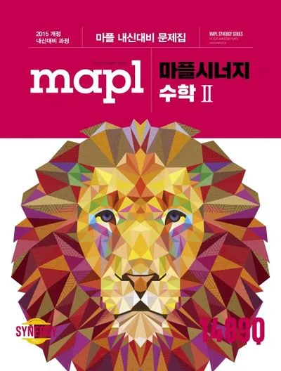 2025 마플시너지 공통수학2 책소개 교재리뷰 답지 모음집_9