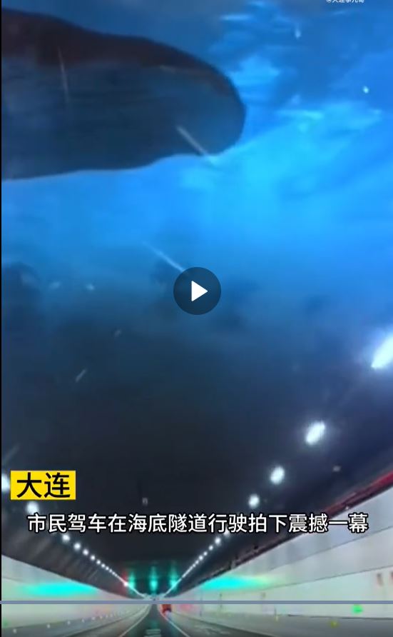 대련해저터널 홍보영상