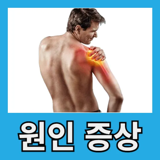원인 및 증상